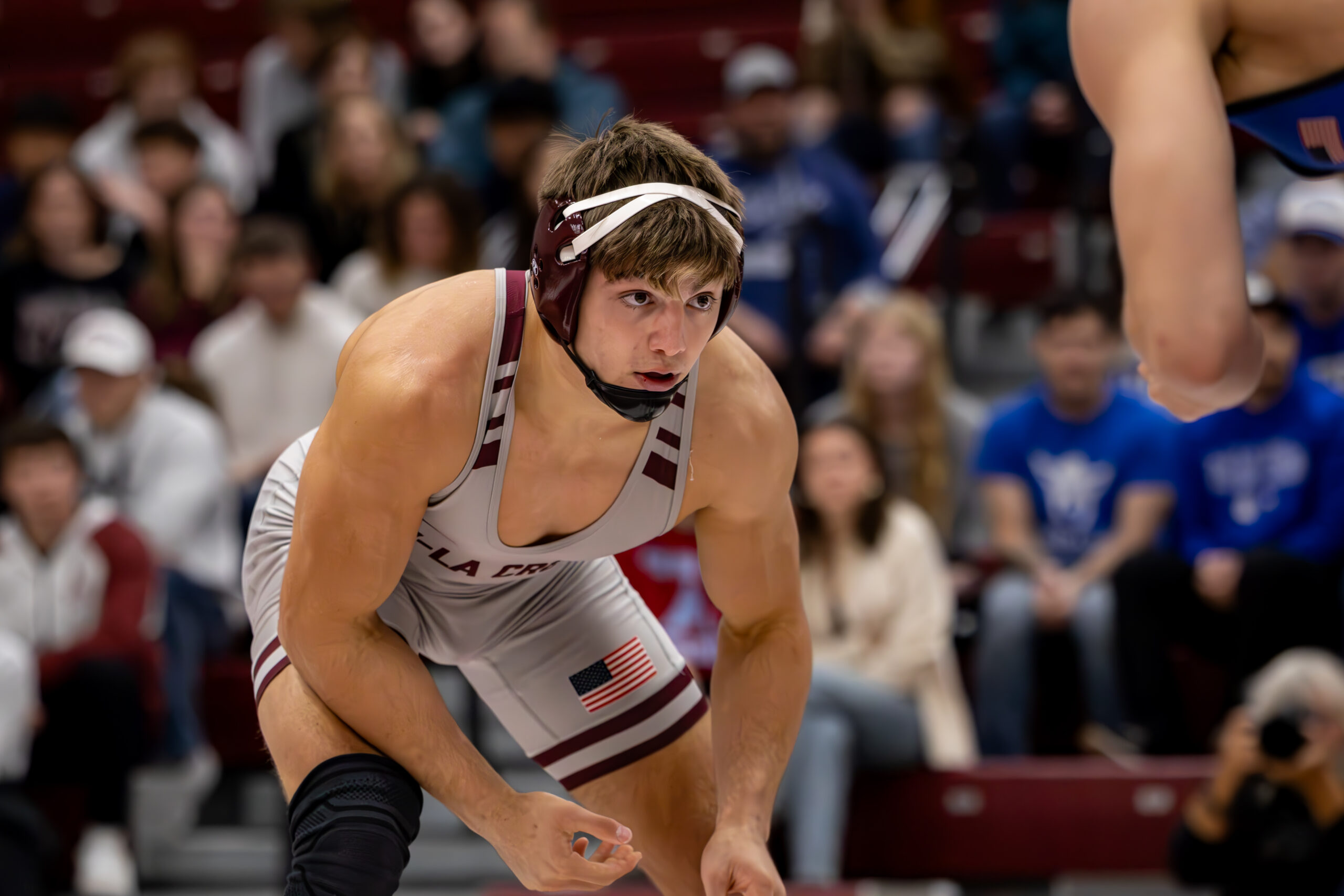 IMG_2722-Enhanced-NR