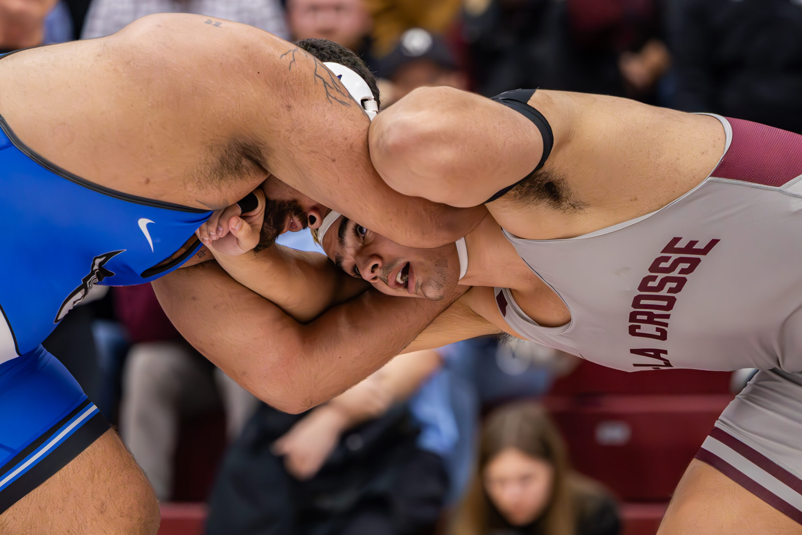 IMG_3352-Enhanced-NR